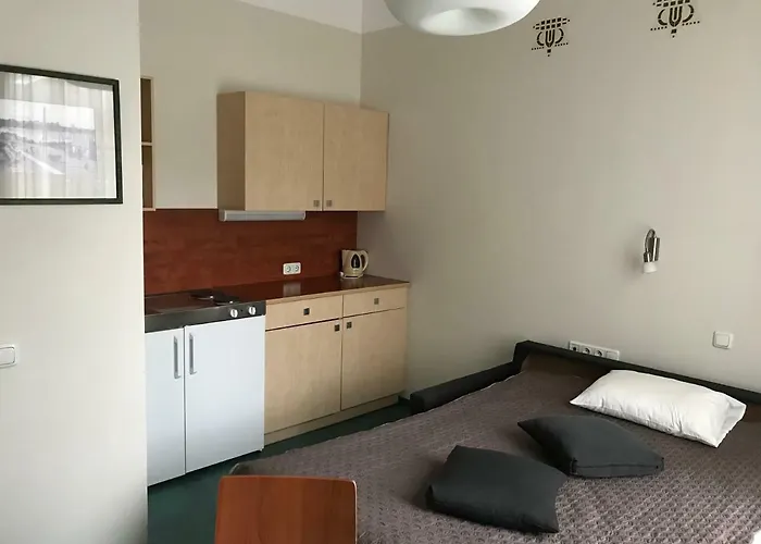 Hommiku 게스트하우스 3*